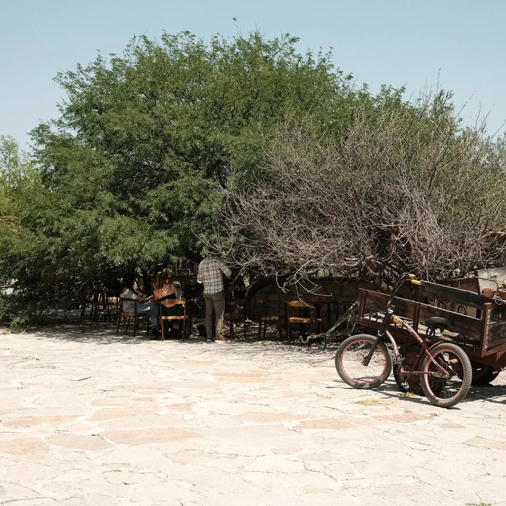 Mesa de trabajo 1_resultado