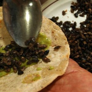 gastronomía-de-Taxco-3