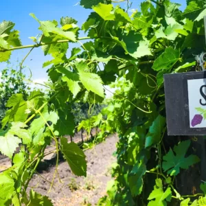 20230428_140145_resultado