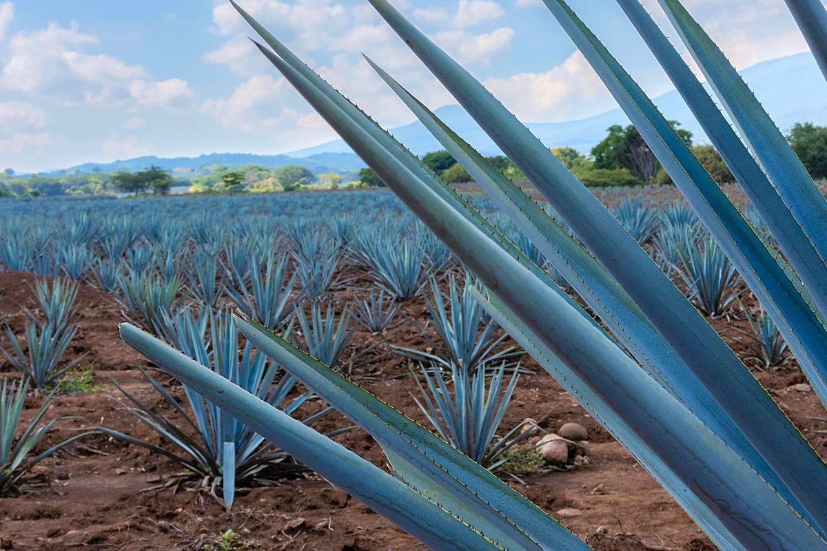 Private Tour Cover Photo 1200x800 WayToMexico